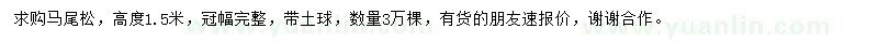 求購高1.5米馬尾松