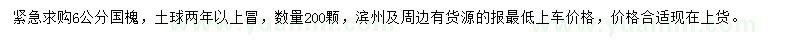 求購(gòu)6公分國(guó)槐