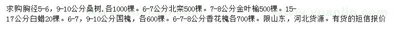 求購桑樹、北欒、金葉榆等