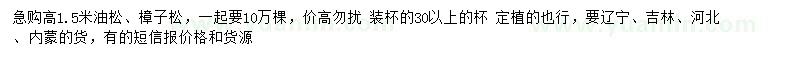 求購高1.5米油松、樟子松