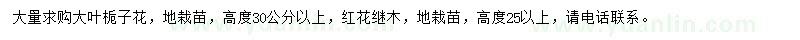 求購(gòu)大葉梔子花、紅花繼木