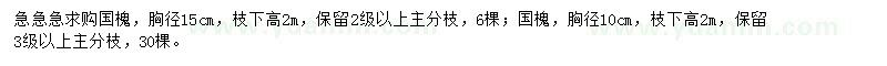 求購(gòu)胸徑10、15公分國(guó)槐