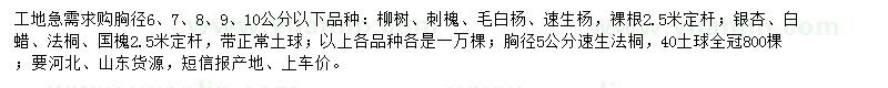 求購柳樹、刺槐、毛白楊等