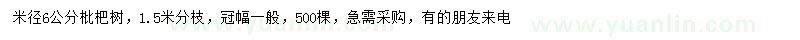 求購米徑6公分枇杷樹