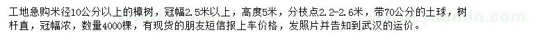 求購米徑10公分以上樟樹
