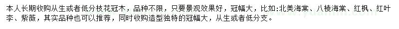 求購北美海棠、八棱海棠、紅楓等