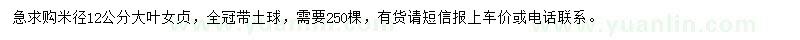 求購米徑12公分大葉女貞