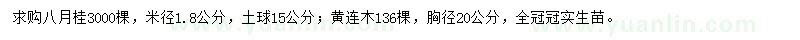 求購(gòu)八月桂、黃連木