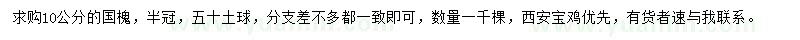 求購10公分國(guó)槐