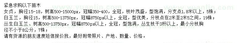 求購(gòu)女貞、白玉蘭、叢生白玉蘭