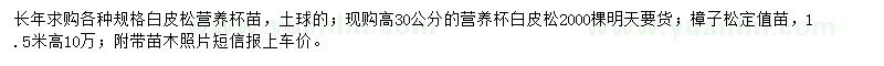 求購白皮松營養(yǎng)杯苗、樟子松定值苗