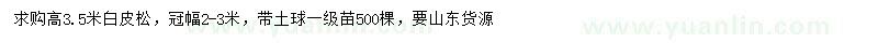 求購高3.5米白皮松