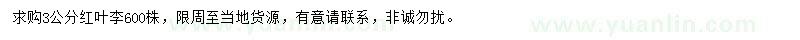 求購3公分紅葉李
