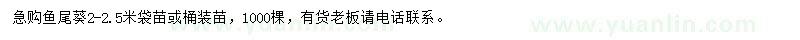 求購(gòu)2-2.5米魚(yú)尾葵袋苗或桶裝苗