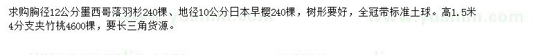 求購(gòu)墨西哥落羽杉、日本早櫻、夾竹桃