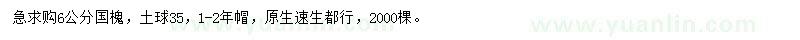 求購6公分國槐