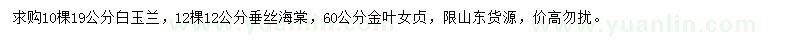 求購白玉蘭、垂絲海棠、金葉女貞
