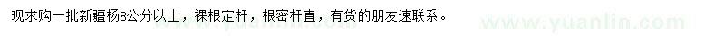 求購8公分新疆楊