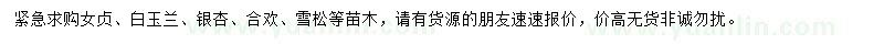 求購女貞、白玉蘭、銀杏等