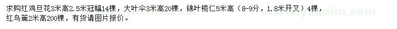求購紅雞旦花、大葉傘、錦葉欖仁等