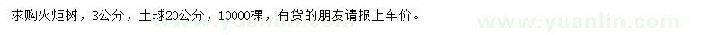 求購3公分火炬樹
