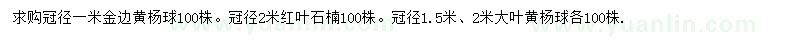 求購(gòu)金邊黃楊球、紅葉石楠、大葉黃楊球