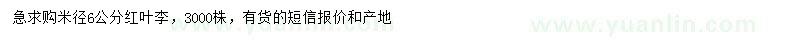 求購米徑6公分紅葉李