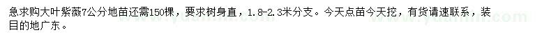 求購(gòu)7公分大葉紫薇地苗