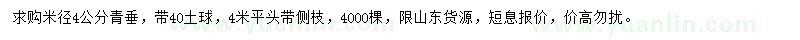 求購米徑4公分垂柳