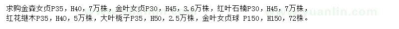 求購金森女貞、大葉女貞、紅葉石楠球等