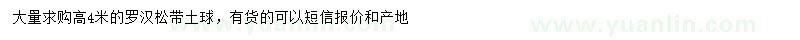 求購高4米羅漢松