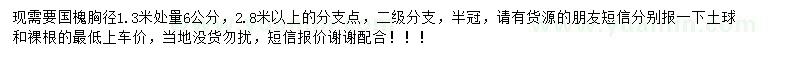 求購(gòu)胸徑1.3米處量6公分國(guó)槐