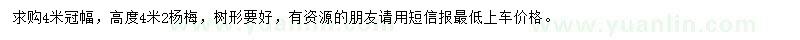 求購高4.2米楊梅