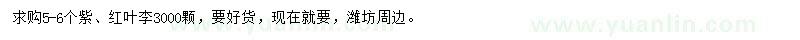 求購5-6公分紫、紅葉李