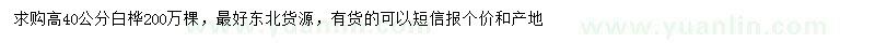 求購高40公分白樺