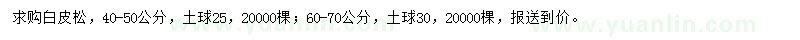 求購40-50、60-70公分白皮松