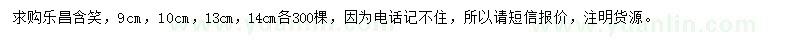 求購9、10、13、14公分樂昌含笑
