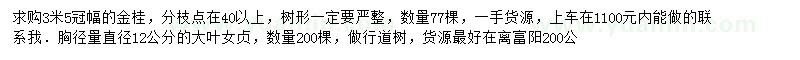 求購3米5冠金桂、胸徑量直徑12公分大葉女貞