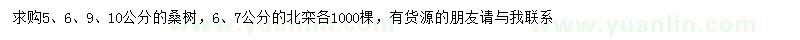 求購5、6、9、10公分桑樹、6、7公分北欒