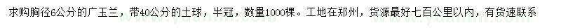 求購胸徑6公分的廣玉蘭