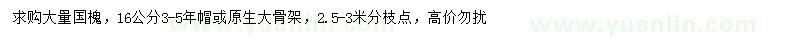 求購16公分國槐