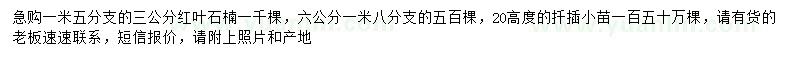 求購3、6公分紅葉石楠