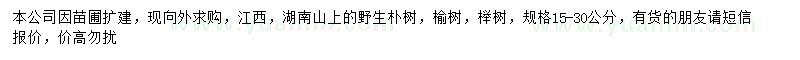 求購樸樹、榆樹、櫸樹