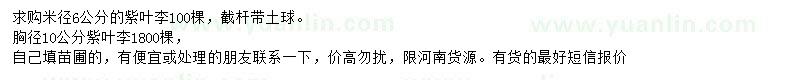 求購胸徑10公分紫葉李