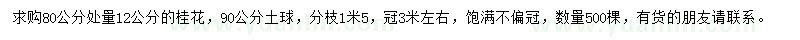 求購80公分處量12公分桂花