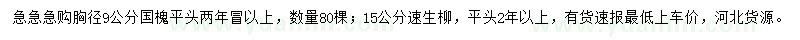 求購(gòu)國(guó)槐、速生柳