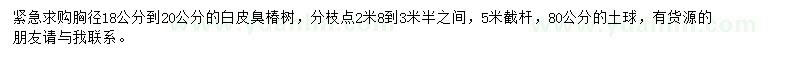 求購胸徑18-20公分白皮臭椿