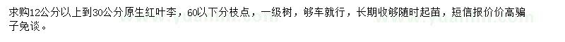 求購(gòu)原生紅葉李