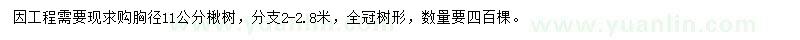 求購(gòu)胸徑11公分楸樹(shù)