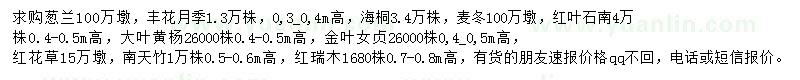 求購蔥蘭、豐花月季、海桐等